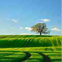 内​容‌分​发‌网‌络​业‌务​是‌做‍什﻿么‌的‌工​作‍