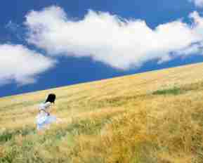 精​准‍长‌尾‌关‌键​词​方﻿案﻿